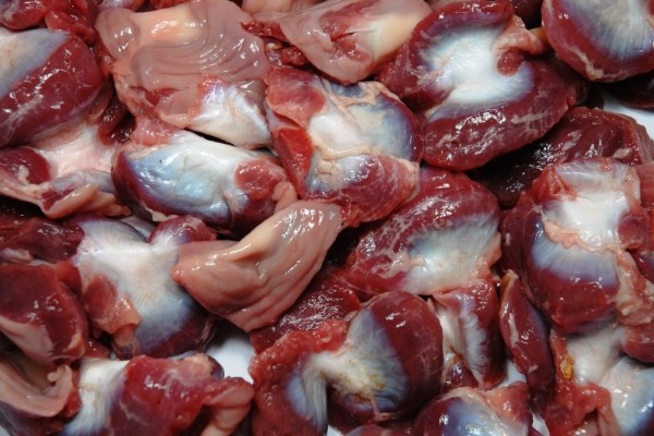 Frozen Chicken Gizzard - MERCURIO ALIMENTOS SA